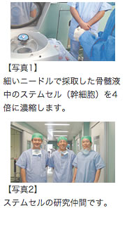 「幹細胞による骨再生療法」