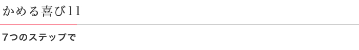 かめる喜び11 7つのステップで