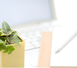 中部経済新聞掲載インプラントコラム　写真